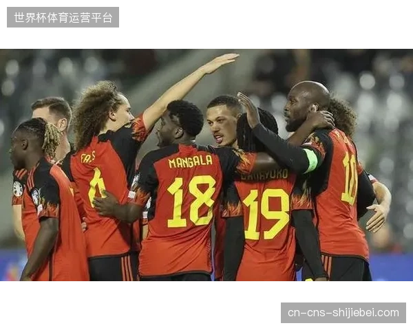 特德斯科在黄金一代淡出后加速球队年轻化进程，多库等新星的表现将决定比利时上限